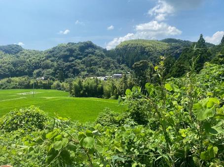 田舎の風景 田舎の風景の写真
