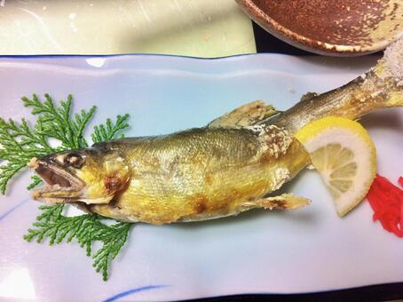 鮎の塩焼き 鮎,塩焼き,魚料理の写真素材