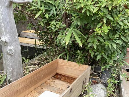 木と引き出し 木と引き出しの写真