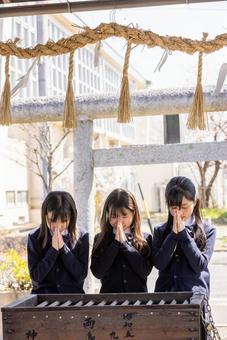 合格祈願する制服を着た学生 合格祈願する制服を着た学生 神社,参拝,学生の写真素材