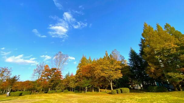 紅葉の北部公園（金沢） 紅葉,秋,公園の写真素材