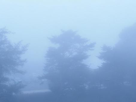 Misty scenery of Karuizawa, JPG