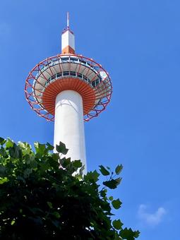 梅雨明けの京都タワー 梅雨明けの京都タワーの写真