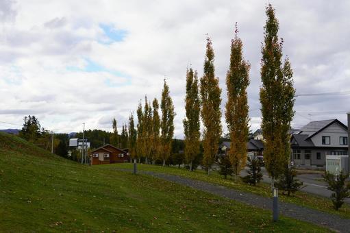北海道の紅葉 北海道の紅葉の写真