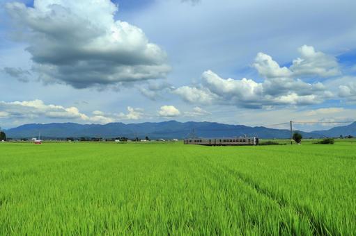 夏空と電車と田園風景 夏空と電車と田園風景 夏空,田園風景,電車の写真素材