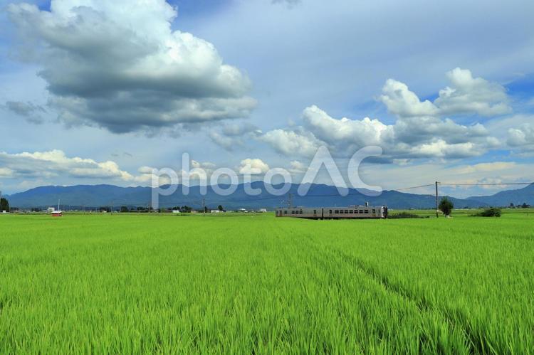 夏空と電車と田園風景 夏空,田園風景,電車の写真素材