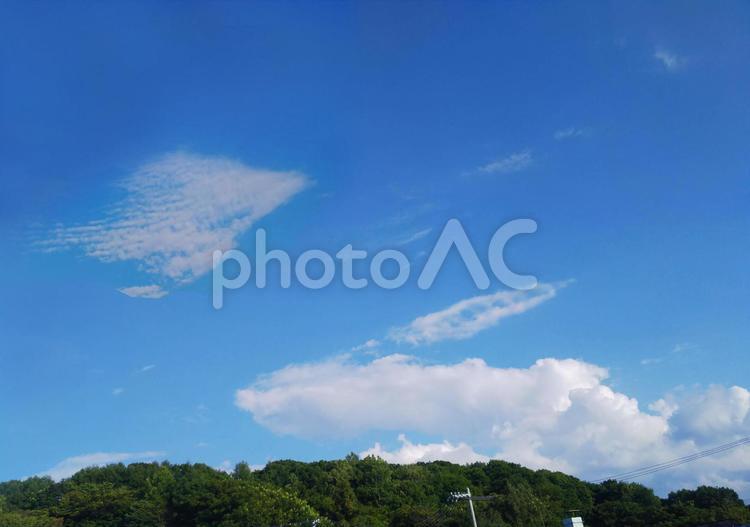 うさぎと魚のような雲 空,雲,魚の写真素材