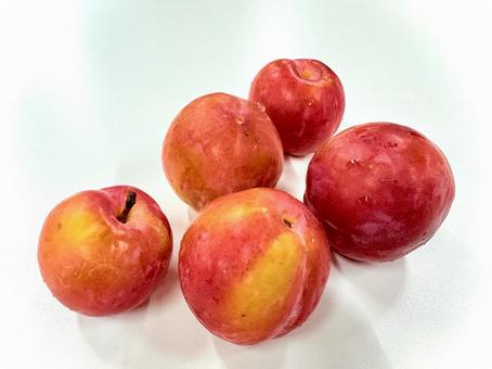 収穫したすもも 05 収穫したすもも 05 すもも,李,実の写真素材