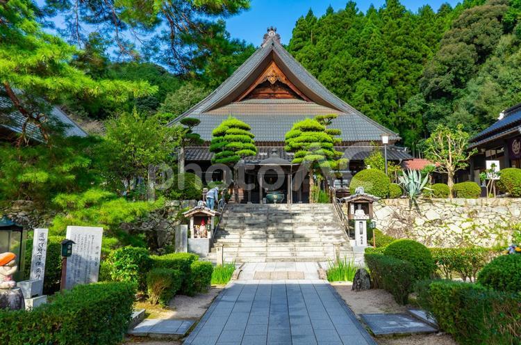 瑠璃光寺の風景 瑠璃光寺,山口,山口市の写真素材
