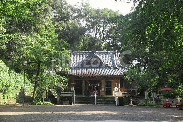 宮崎県 舞鶴神社 舞鶴神社,神社,宮崎県高鍋町の写真素材