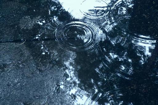 水たまりに浮かぶ波紋 水たまりに浮かぶ波紋の写真