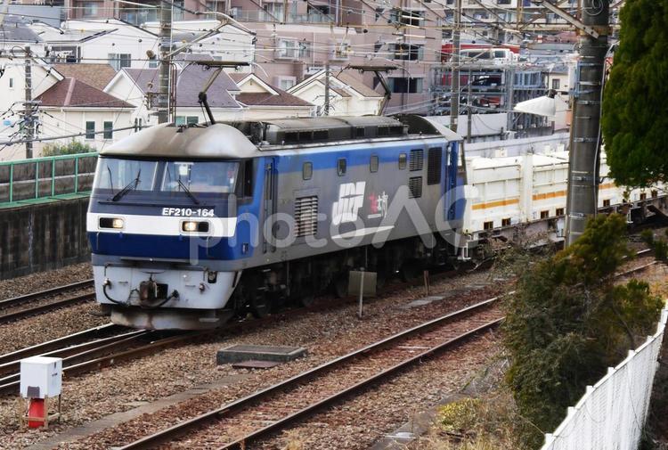 市街地を走る貨物列車 電気機関車,ef210,貨物列車の写真素材