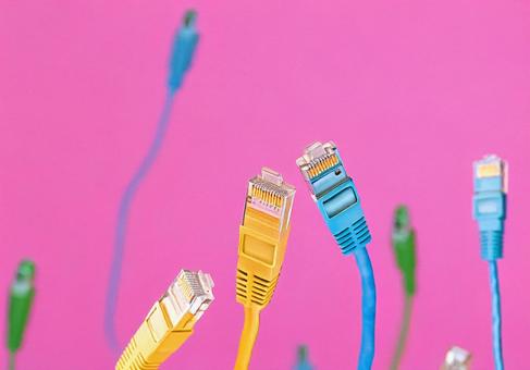 ポップな色のLANケーブルの写真