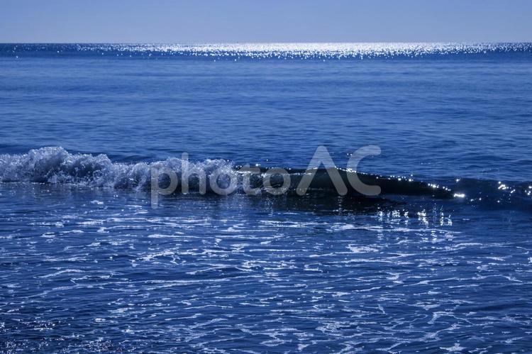 青い海2（田原市） 海,青い,太平洋の写真素材