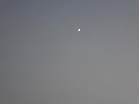 月 月の写真