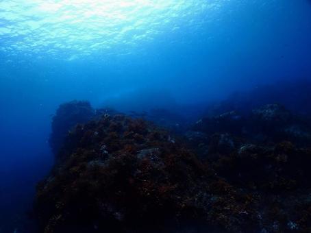 伊豆大島の海 伊豆大島の海 青い海,海,水中写真の写真素材