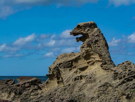 塩瀬崎　ゴジラ岩 塩瀬埼,岩,自然の写真素材