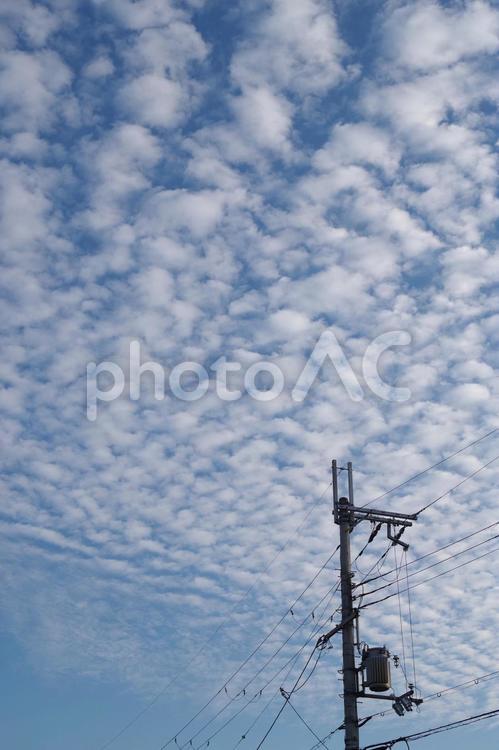 電柱とうろこ雲 うろこ雲,鱗雲,電柱の写真素材