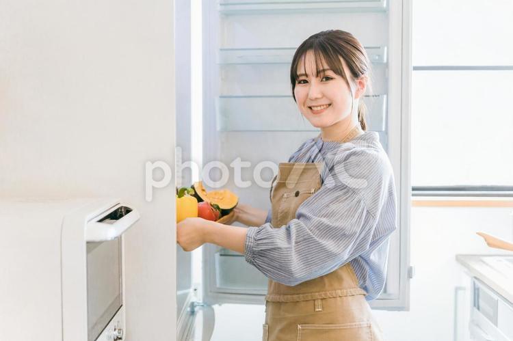冷蔵庫に野菜を入れる女性（家事代行） 冷蔵庫,野菜,冷凍庫の写真素材