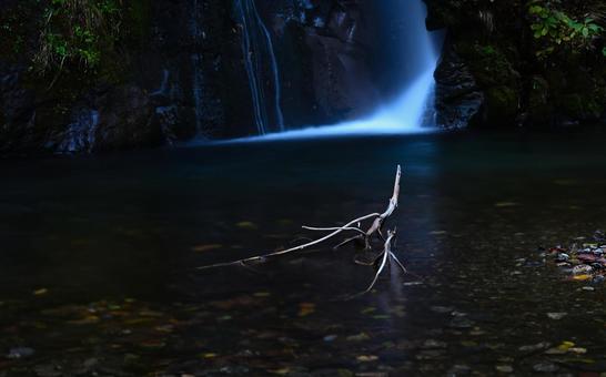 神秘的な枯れ枝と滝壺 滝,神秘的,幻想的の写真素材