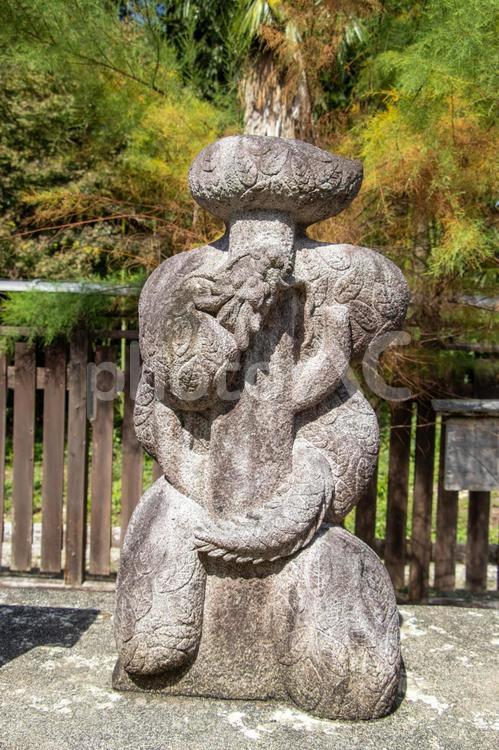 干支の庭 辰 沙沙貴神社,干支の庭,辰の写真素材