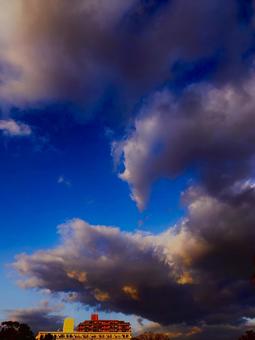冬空 冬空の写真