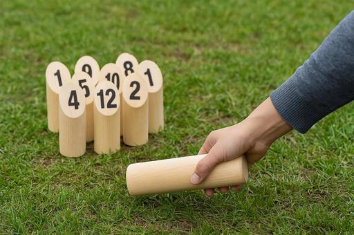 Mölkky preparation on the grass, just before pitching, mölkky, lawn, sports, JPG