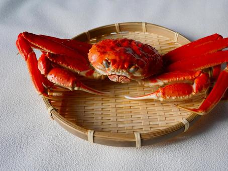 ずわいがに.3 ずわいがに,カニ,甲殻類の写真素材