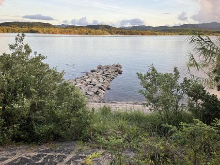 岩先の小鳥 川,石,鳥の写真素材