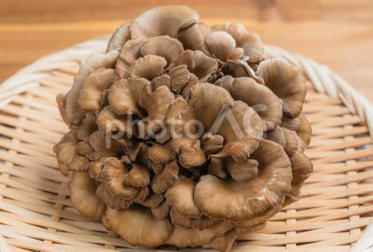 竹ざるに盛られた舞茸 舞茸,きのこ,原木の写真素材