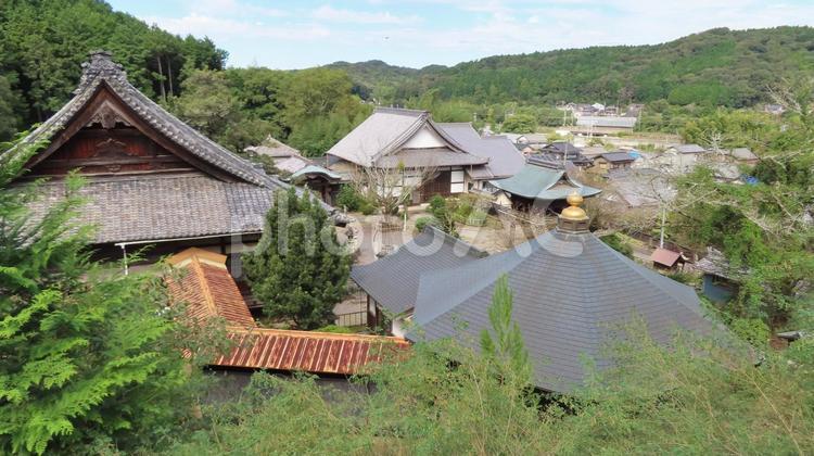 法蔵寺　境内の風景 法蔵寺,浄土宗,阿弥陀如来の写真素材