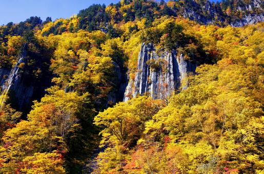 天人峡の紅葉 天人峡の紅葉 天人峡,天人峡温泉,北海道の写真素材