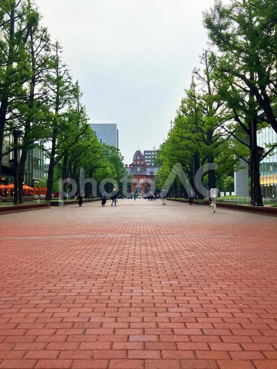 旧北海道庁舎（赤レンガ）とアカプラ 北3条広場,アカプラ,旧北海道庁舎の写真素材