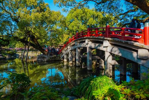 【福岡】太宰府天満宮の風景 福岡,太宰府駅,太宰府の写真素材