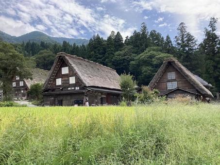白川郷② 白川郷,萩町集落,合掌造りの写真素材
