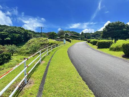 公園 夏の風景 公園 夏の風景 太地町森浦,公園,公共施設の写真素材