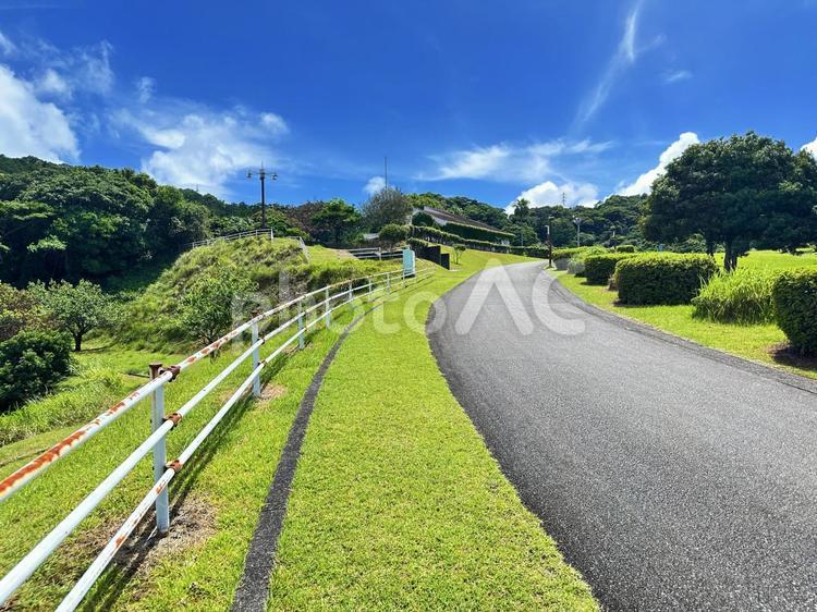公園　夏の風景 太地町森浦,公園,公共施設の写真素材