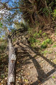 真鶴半島散策路 真鶴半島散策路 真鶴半島,海,真鶴の写真素材