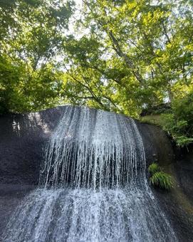 緑の中の滝(中) 緑の中の滝(中)の写真