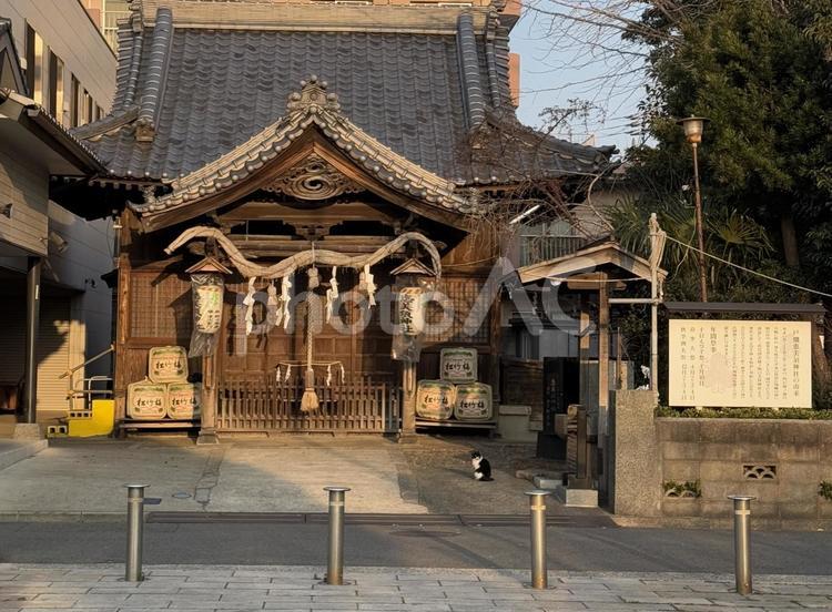 戸畑恵比寿神社 戸畑,海,北九州の写真素材