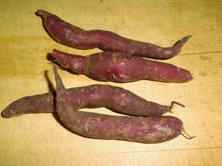 細身のサツマイモ さつまいも,芋,紫芋の写真素材