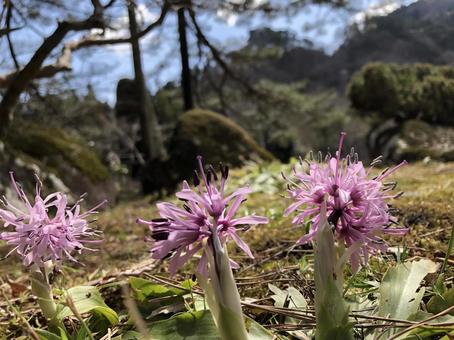 弾けてます！の写真