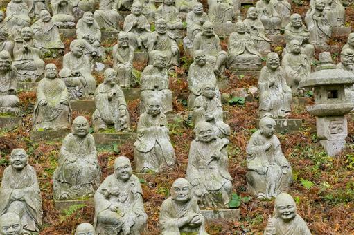 千如寺大悲王院 千如寺大悲王院の写真