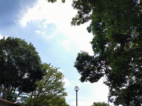 公園にて爽やかな1枚 公園にて爽やかな1枚の写真