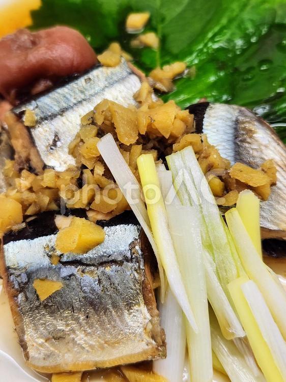 サンマの梅煮1 サンマ,梅煮,和食の写真素材