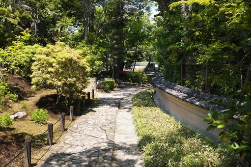 Photo, nara park, jicheng garden, fresh green, 