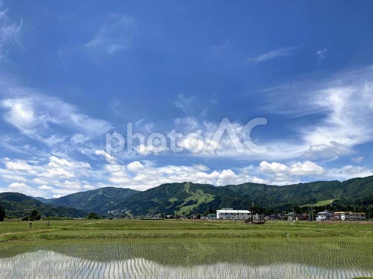 初夏の山と田んぼ 田んぼ,稲,風景の写真素材