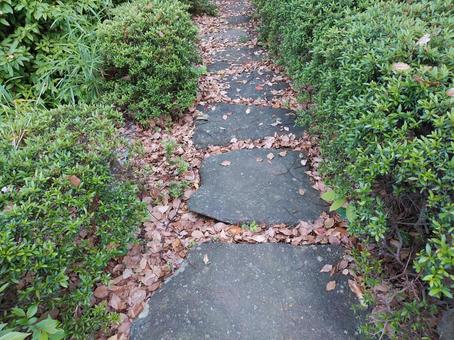 公園の歩道 公園の歩道の写真
