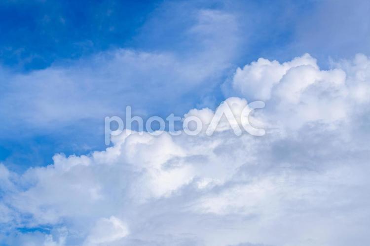 夏の青空と白い雲 雲,空,青空の写真素材