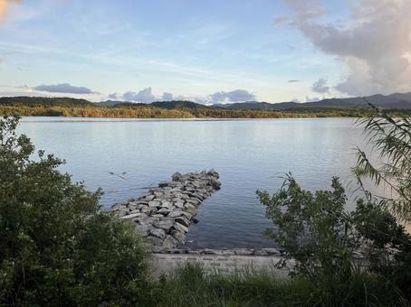 岩の先にいる鳥 岩の先にいる鳥の写真
